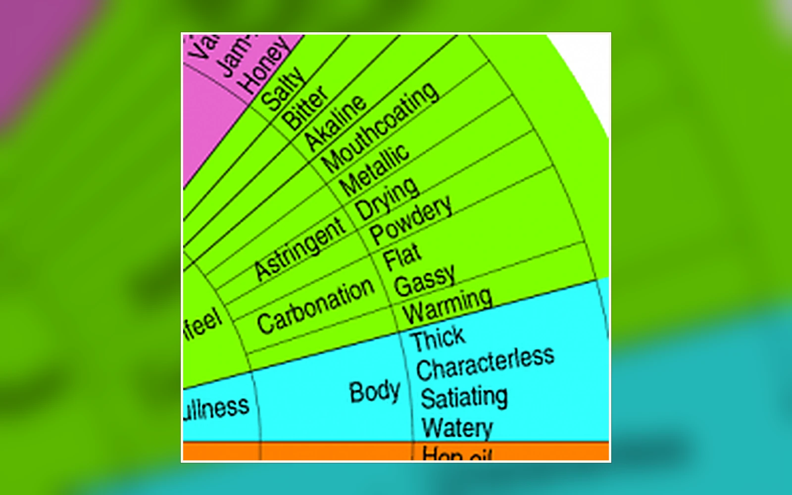 The Art of Beer Tasting: the Meilgaard flavour wheel